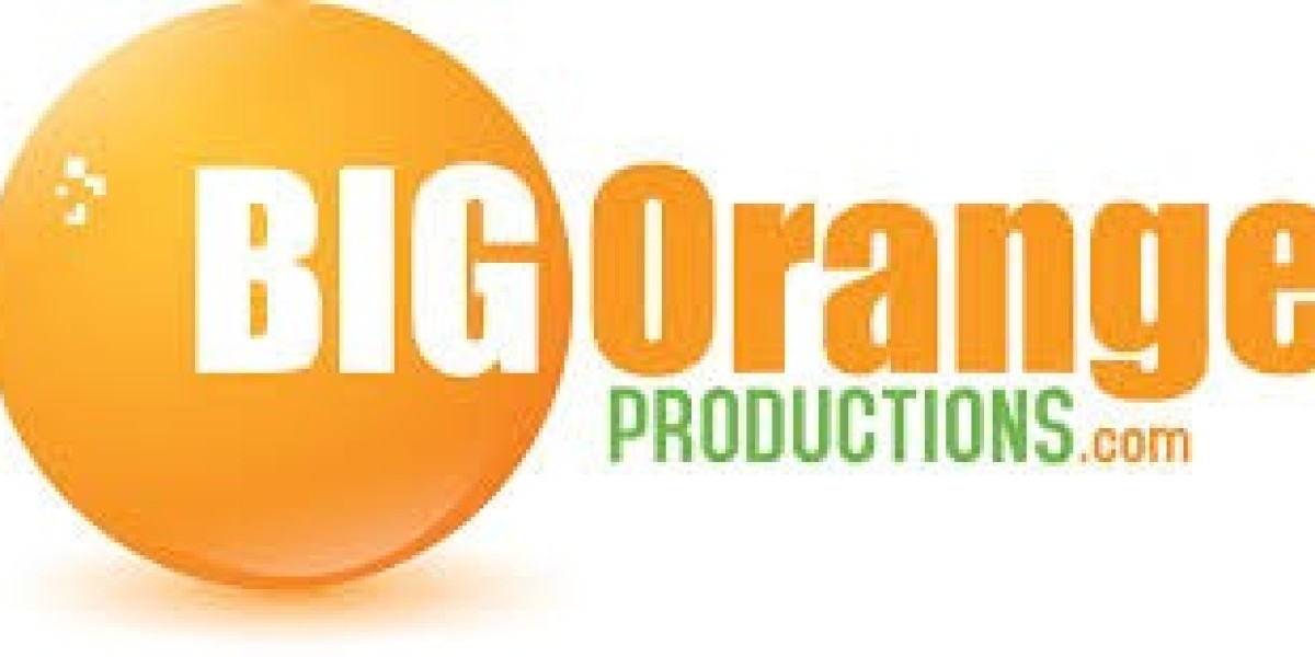 Big Orange INC: A Visionary Leader in Innovative Technology