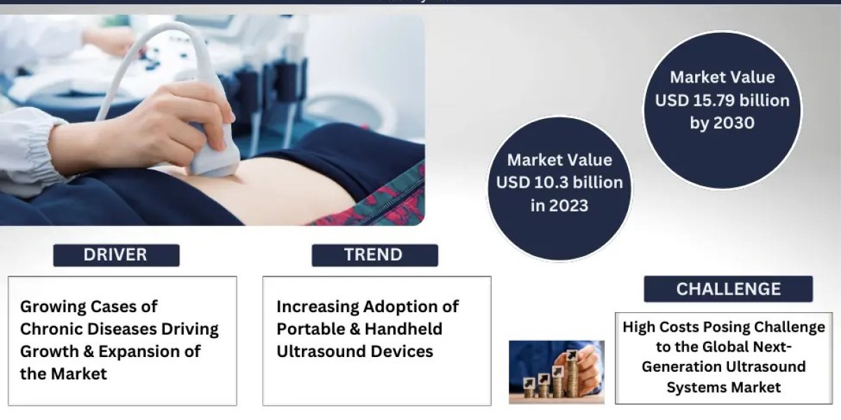 Next-Generation Ultrasound System Market Witness Highest Growth AT a CAGR of 6.3% by 2030