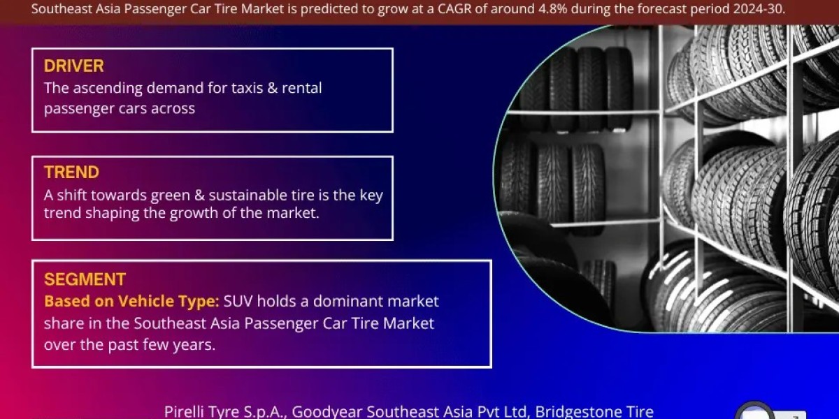 Southeast Asia Passenger Car Tire Market Key Competitors: Who Will Lead the Industry in 2030?