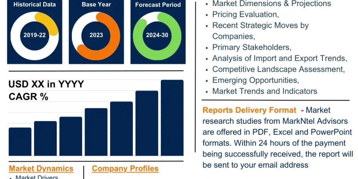 Belgium Agrivoltaic Market Growth Dynamics: Size, Share, and Trend Analysis Report