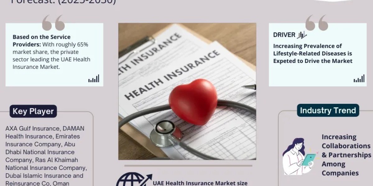 UAE Health Insurance Market Competition and Strategic Player Analysis - 2030