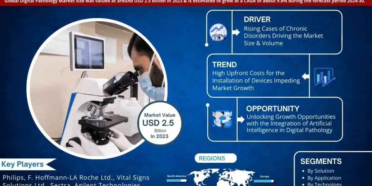Digital Pathology Market Segment, Companies, Trend & Growth Analysis 2024-30