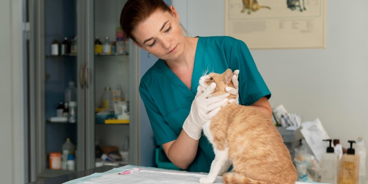 The Ultimate Guide to Pet Grooming in Qatar