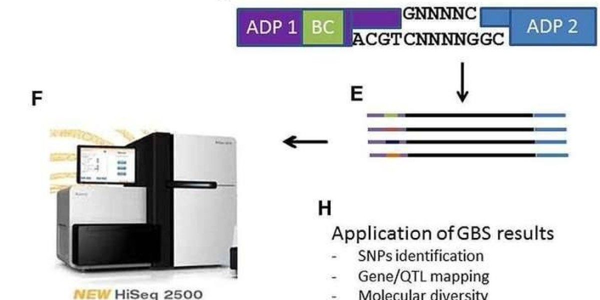 Principles, Protocols, and Applications of Genotyping by Sequencing