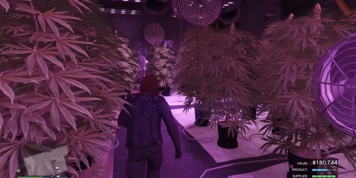 Are Motorcycle Club Businesses Still Profitable in GTA Online 2025?