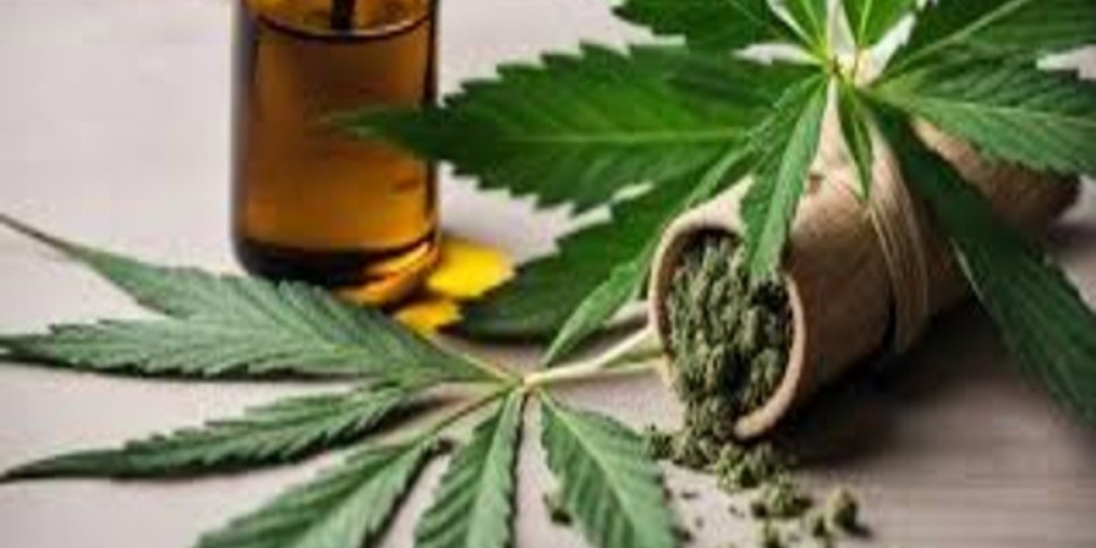 CBD Biarritz : Profitez des Bienfaits du CBD sur la Côte Basque
