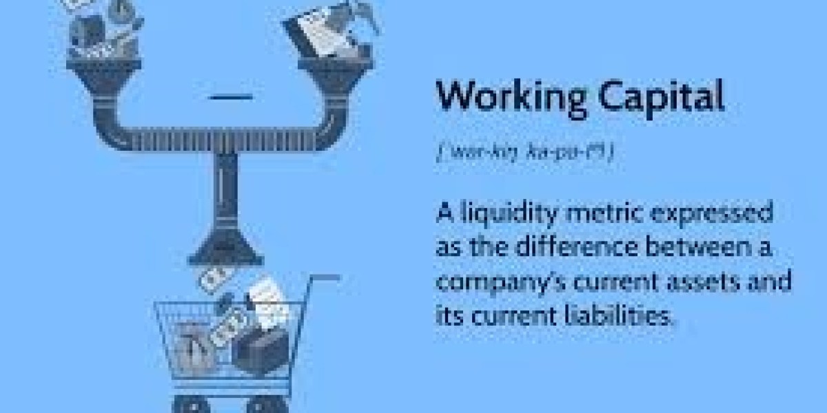 Understanding Capital Figures: Importance and Impact in Business