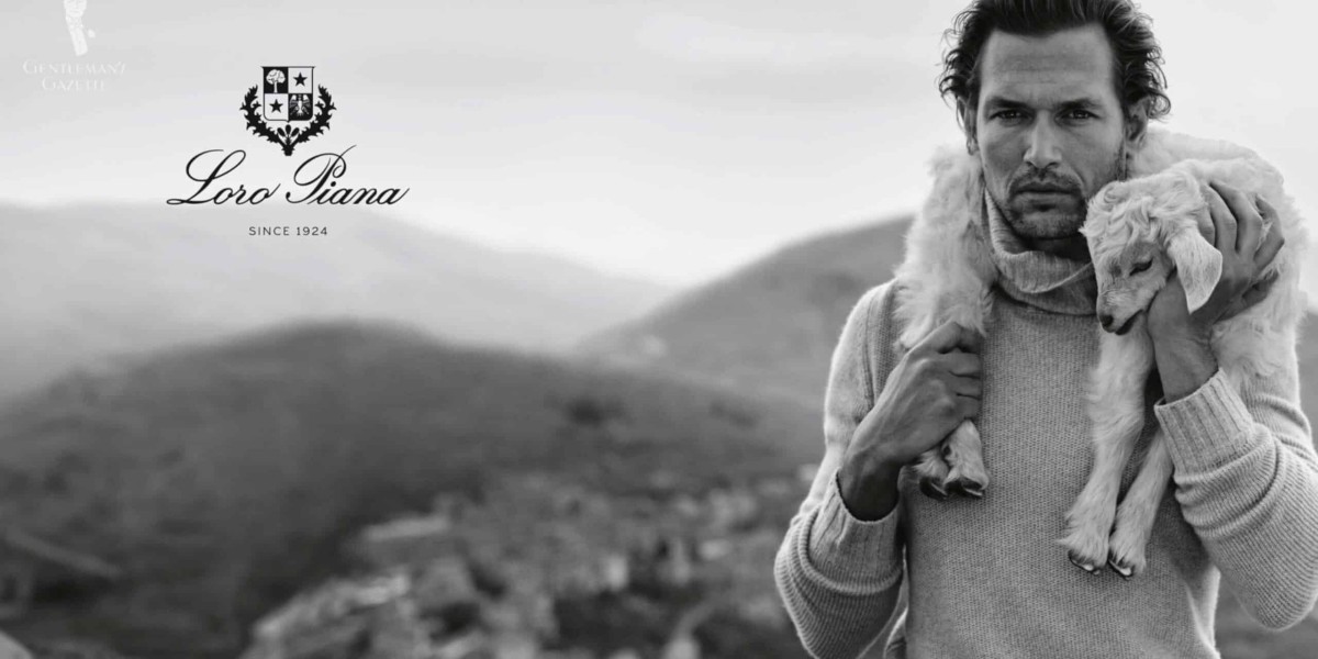 Loro Piana journey but also had my tits in a and gave them a ponytail
