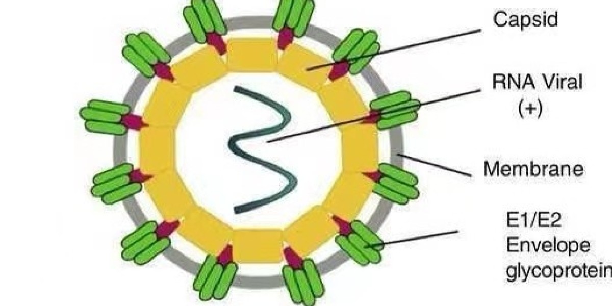 Chikungunya Virus Antigens for Vaccine and Antiviral Research