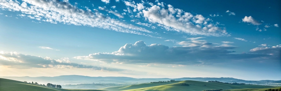 susanmiller98 Cover Image