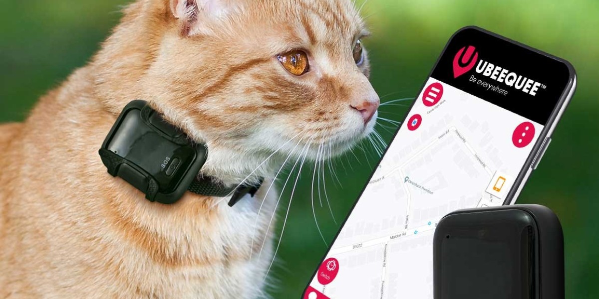 The Best Features to Look for in a Pet GPS Tracker