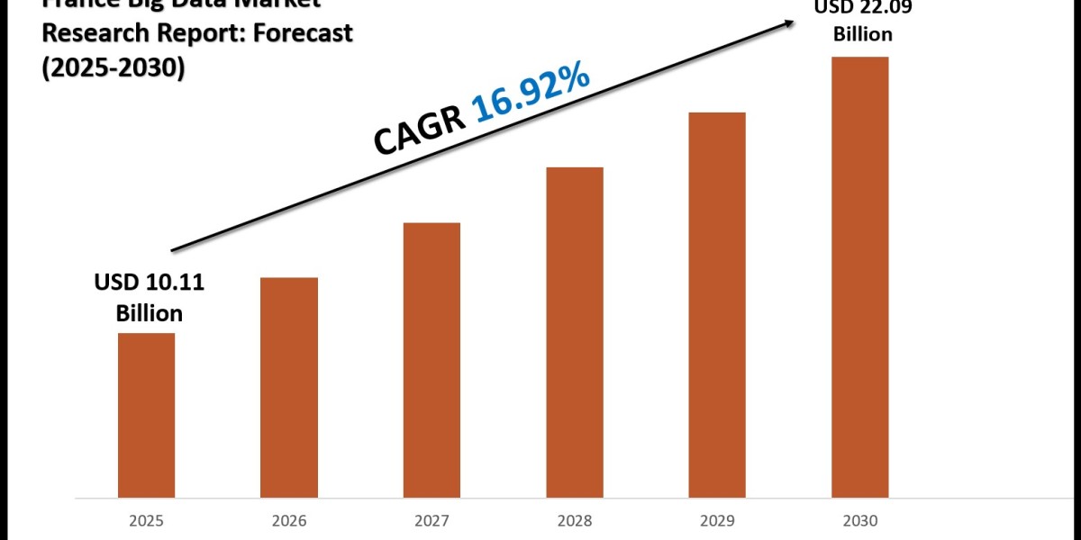 France Big Data Market Share, Trends and Future Outlook 2030