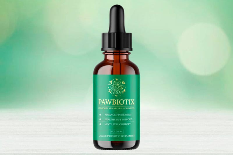 Boost Your Dog’s Digestive Health Naturally with Pawbiotix - Health Supplements