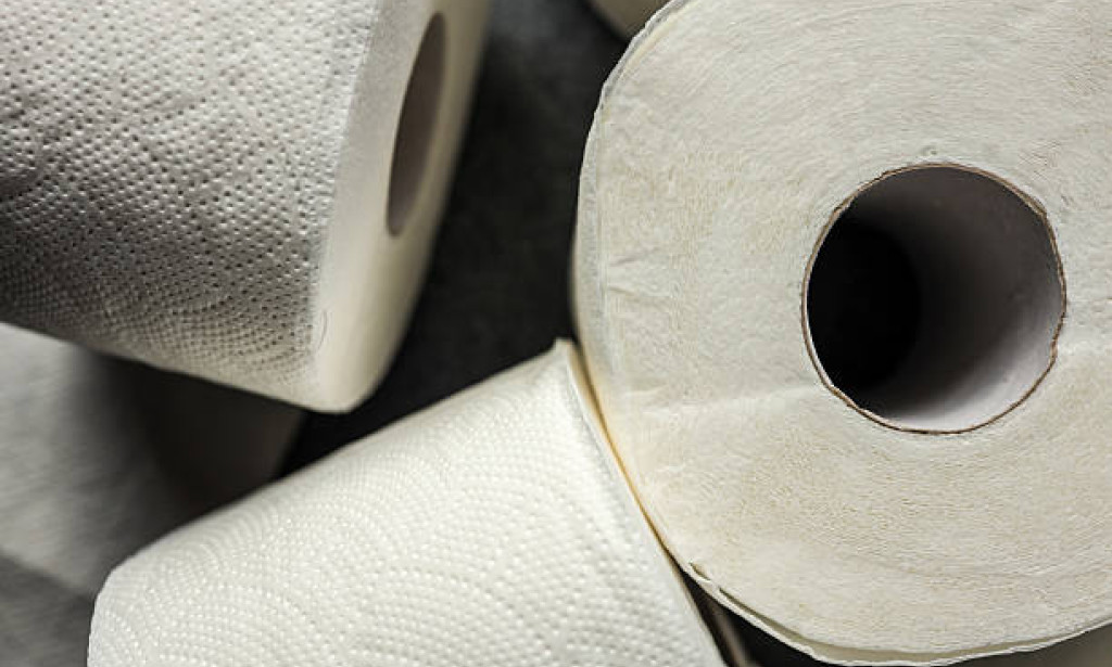 Benefits of Buying Eco-Friendly Wholesale Toilet Rolls in Singapore