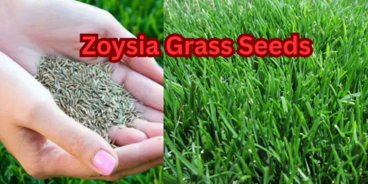 Zoysia Grass Seed – Top 10 Picks, Planting, Care & Growth Tips