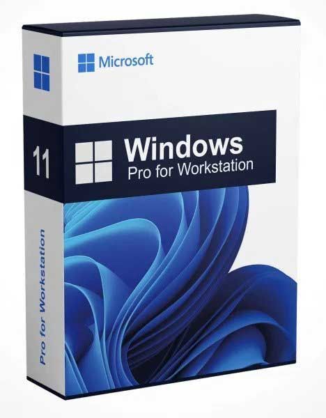 windows 11 pro workstation