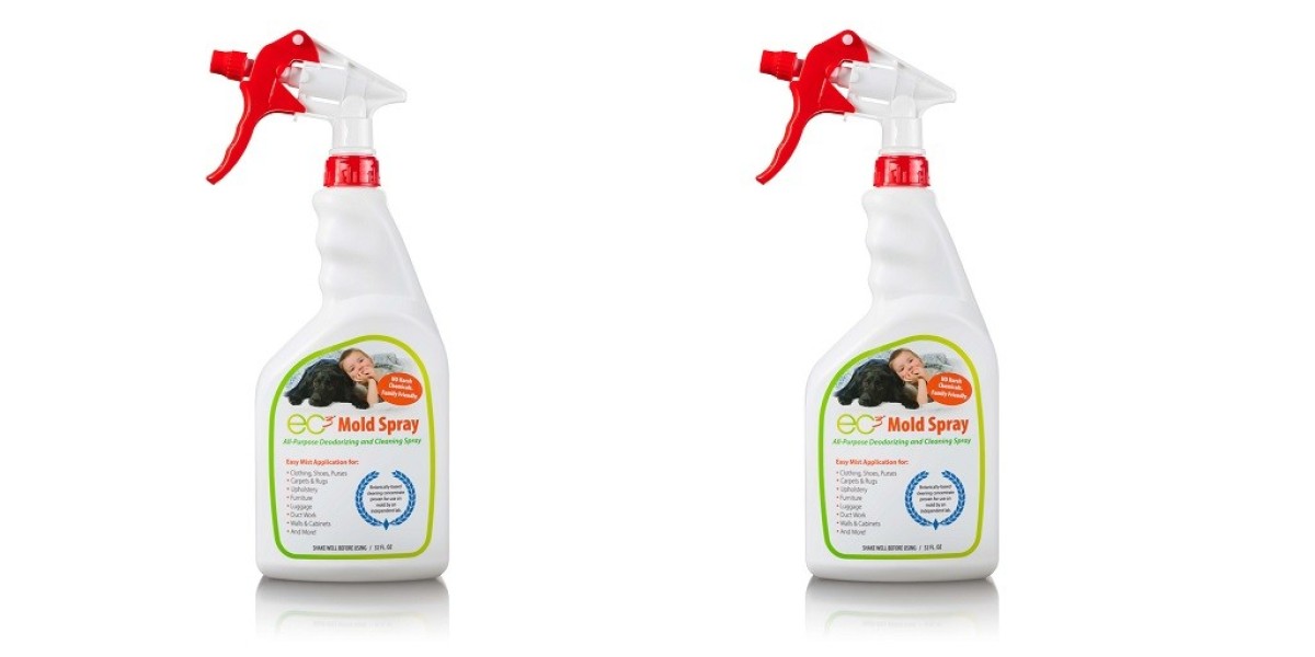 Why a Specialized Mold Treatment Spray Is Better Than Any DIY Solution