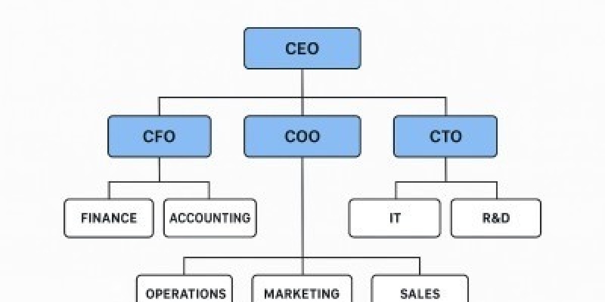 Understanding Fortune 500 Org Charts: Structures, Strategies, and What They Reveal About High-Performing Companies