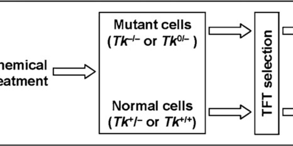 Comprehensive In Vitro Mouse Lymphoma Assay TK Service