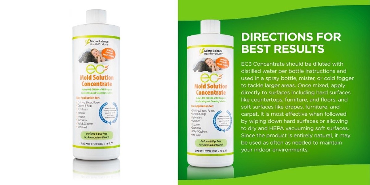 Is Your Home Mold-Free?