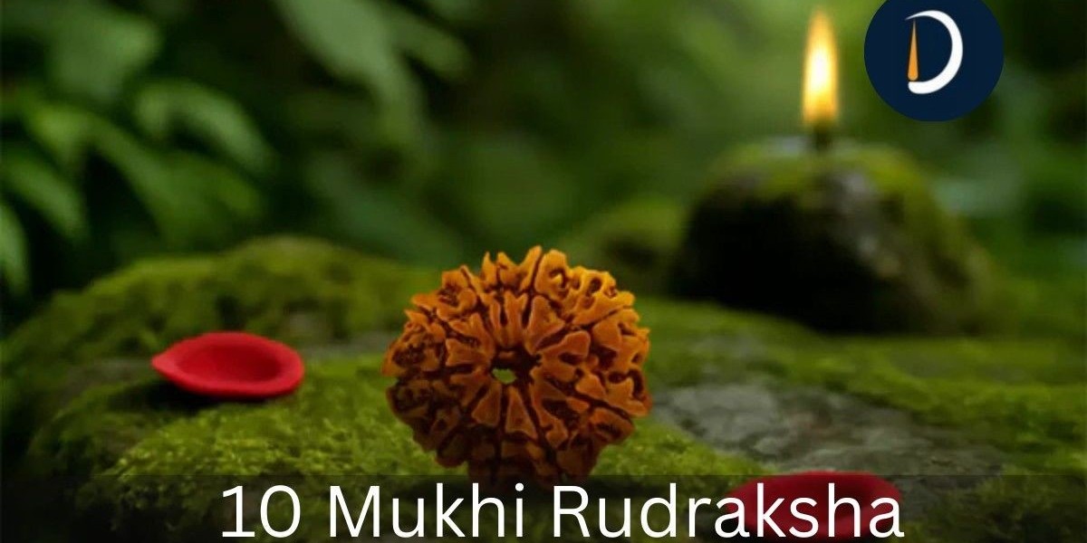Original Nepali 10 Mukhi Rudraksha : For Powerful Energy