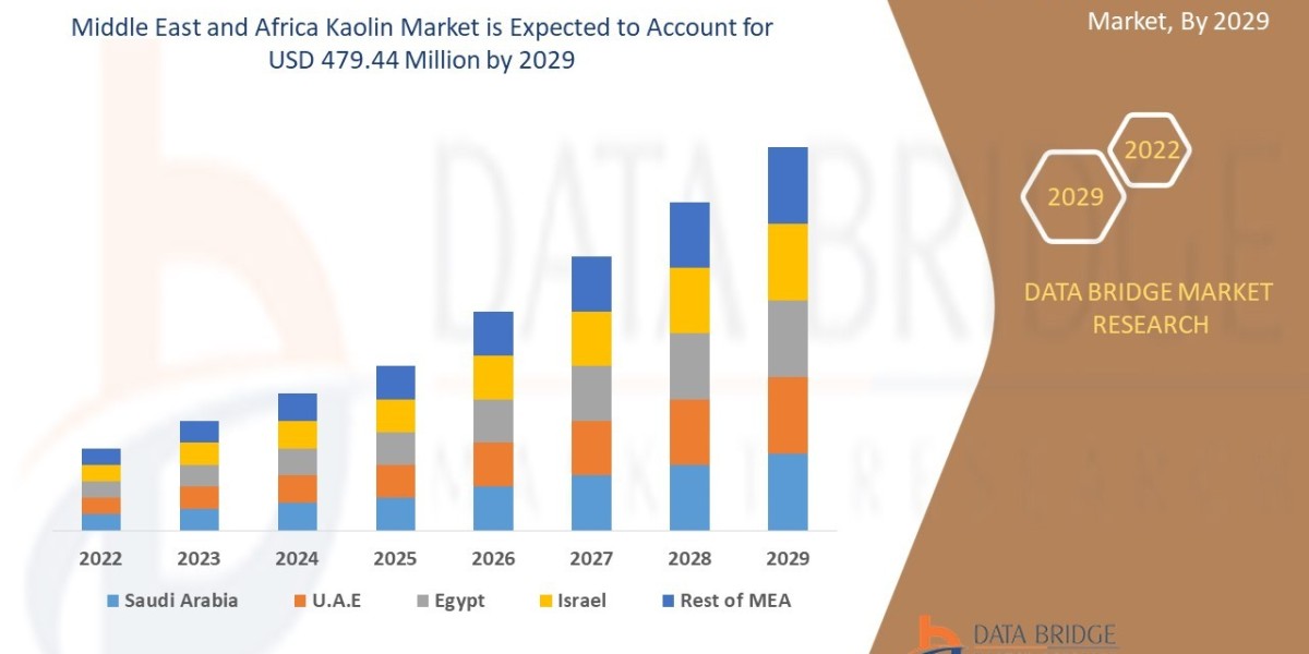 Middle East and Africa Kaolin Market Overview, Growth Analysis, Trends and Forecast By 2029