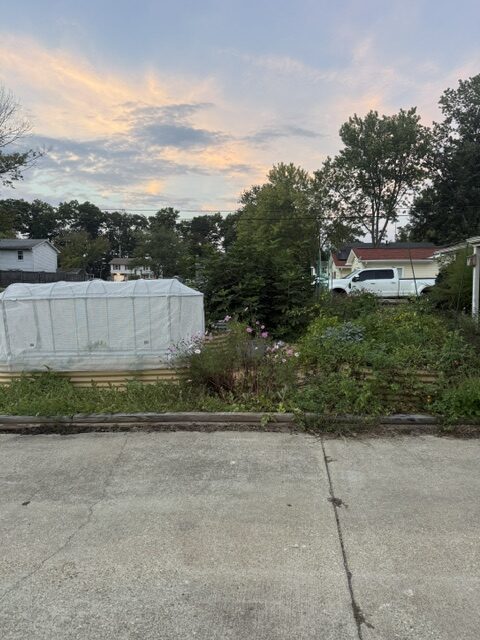 Jojo's garden and greenhouse beneath a sunset sky